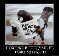 User2