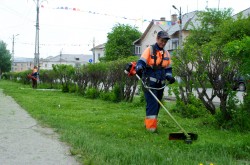 Газоны на улицах Первомайского постепенно становятся ухоженными