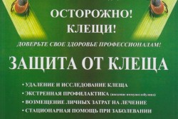 Медики предлагают застраховаться от укусов клещей